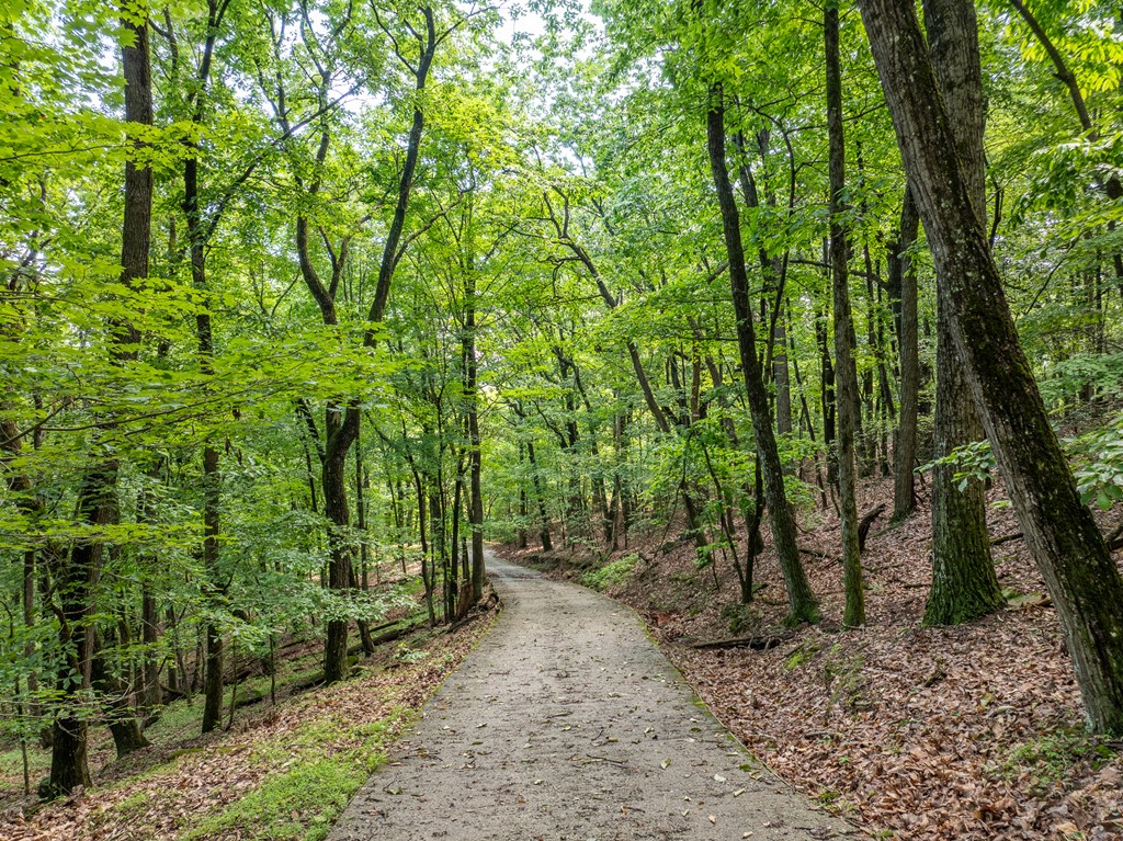3.65 AC Emory Stephens Rd.