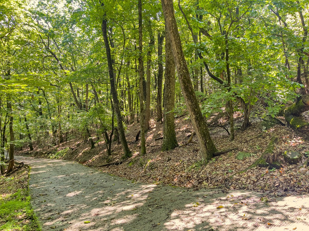 3.65 AC Emory Stephens Rd.