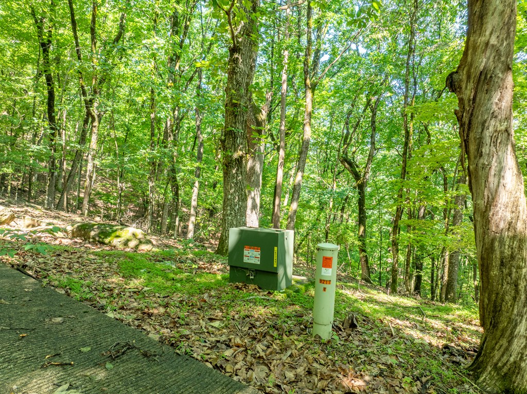 3.65 AC Emory Stephens Rd.