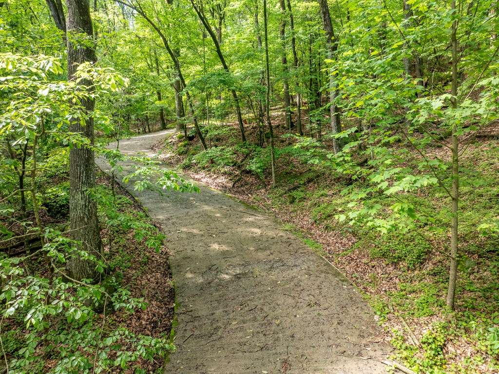 3.65 AC Emory Stephens Rd.