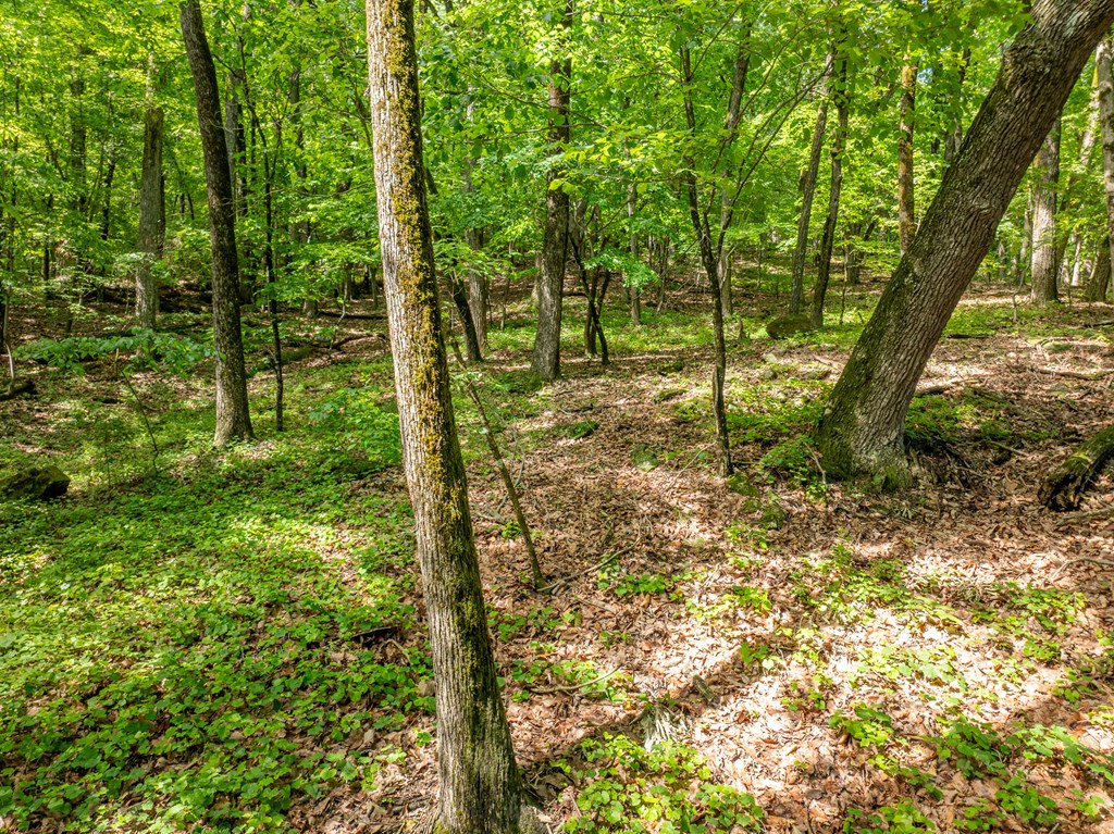3.65 AC Emory Stephens Rd.