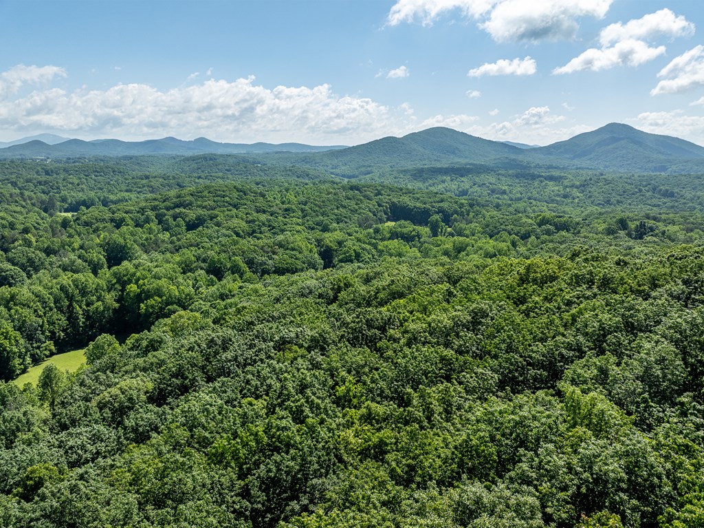 3.65 AC Emory Stephens Rd.