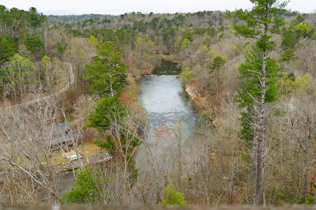 124 Dryad Court