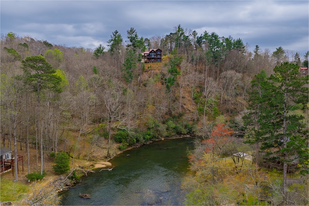 124 Dryad Court