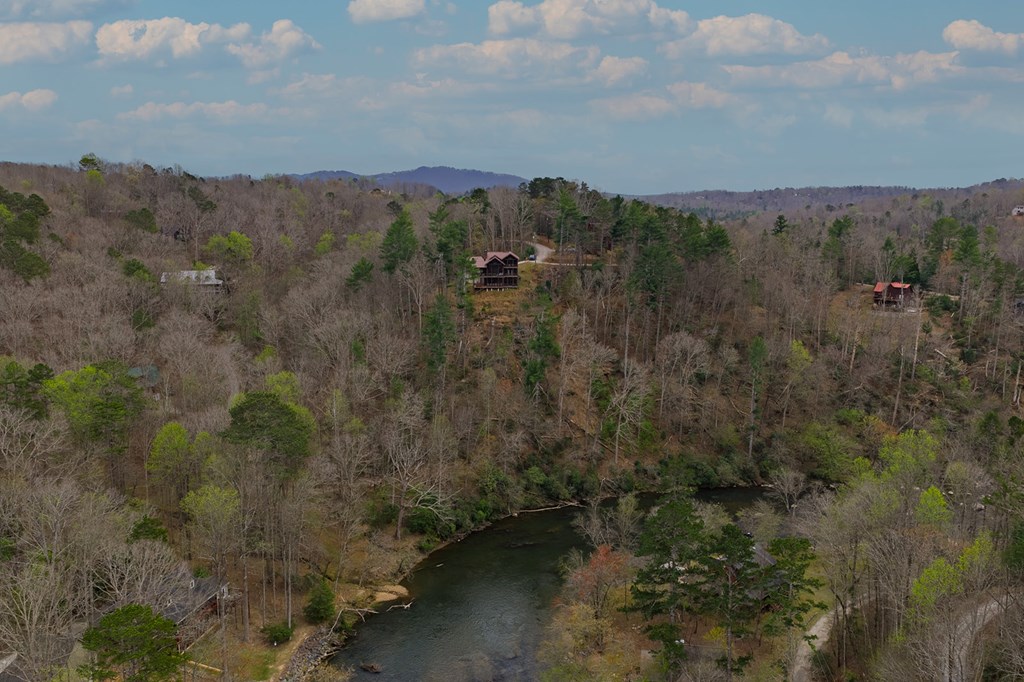 124 Dryad Court