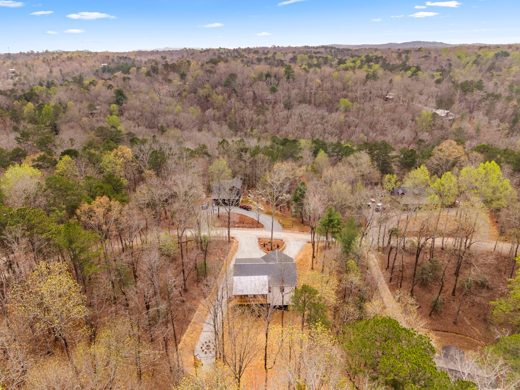 64 Nickel Lane