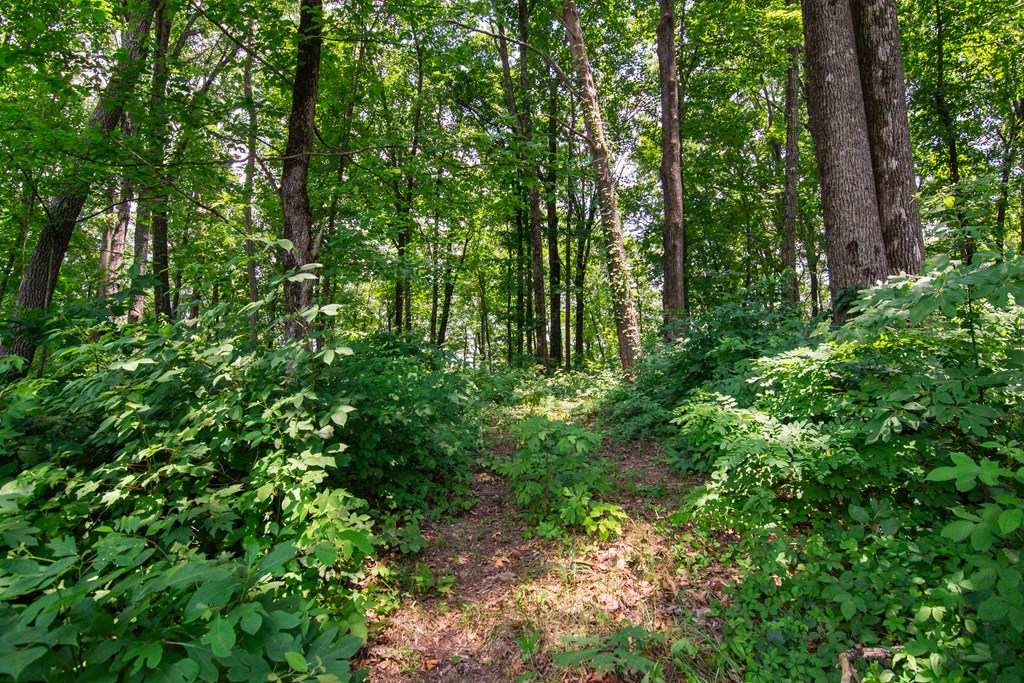 Lot 56 High Summit Drive