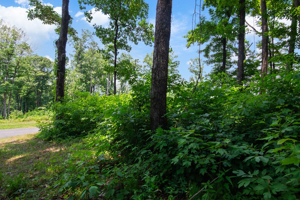 Lot 56 High Summit Drive