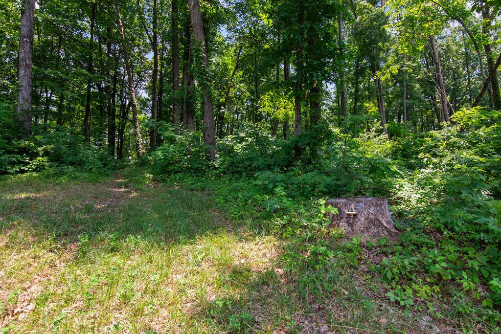 Lot 56 High Summit Drive