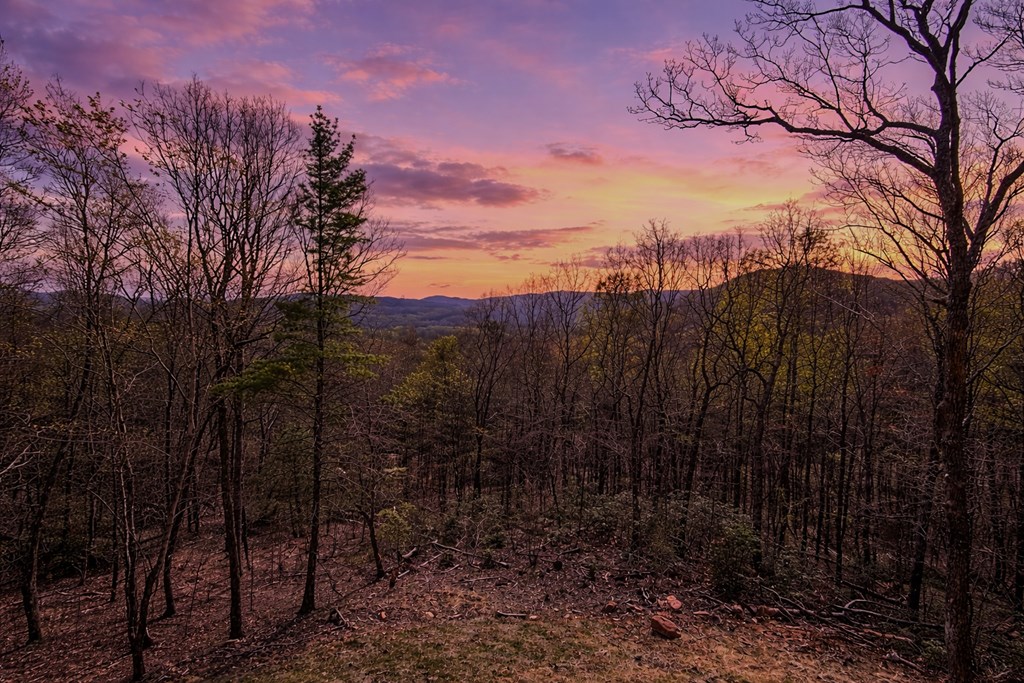 156 Sky High Drive
