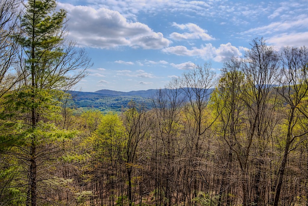 156 Sky High Drive