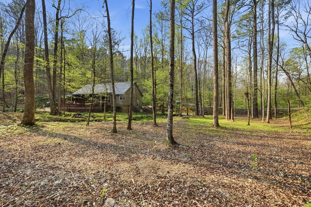 434 Lemmon Drive