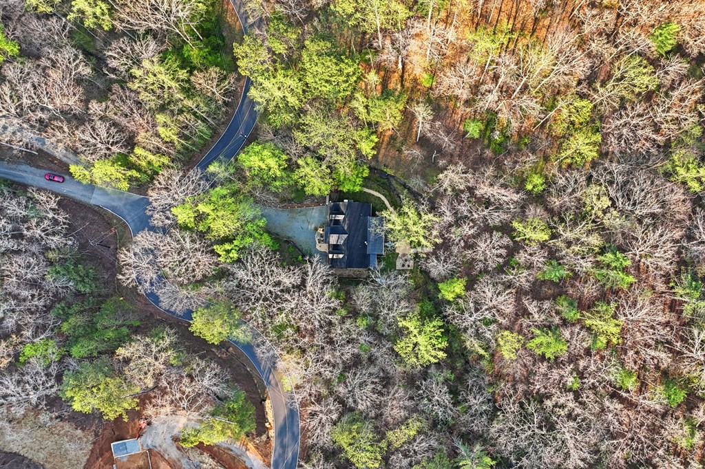 434 Lemmon Drive