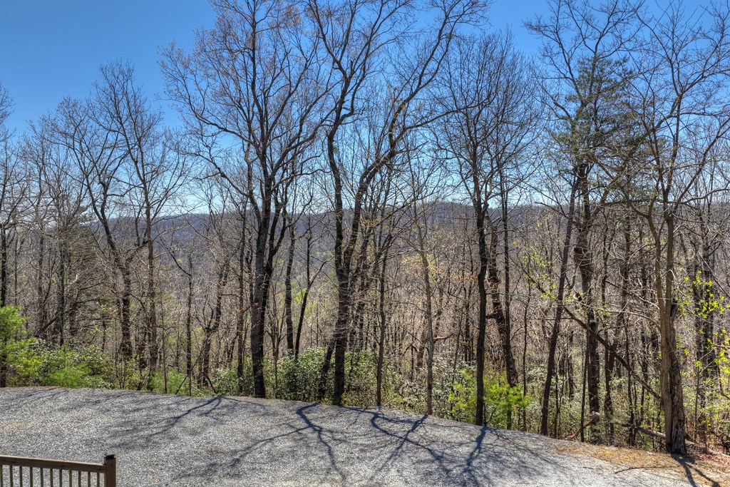 1073 Old Burnt Mountain Road