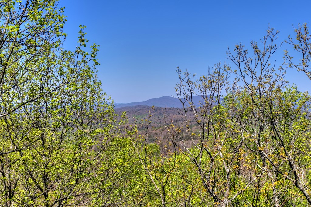 1073 Old Burnt Mountain Road