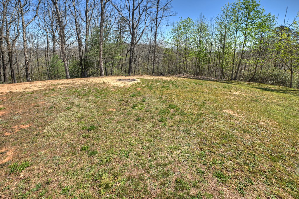 1073 Old Burnt Mountain Road