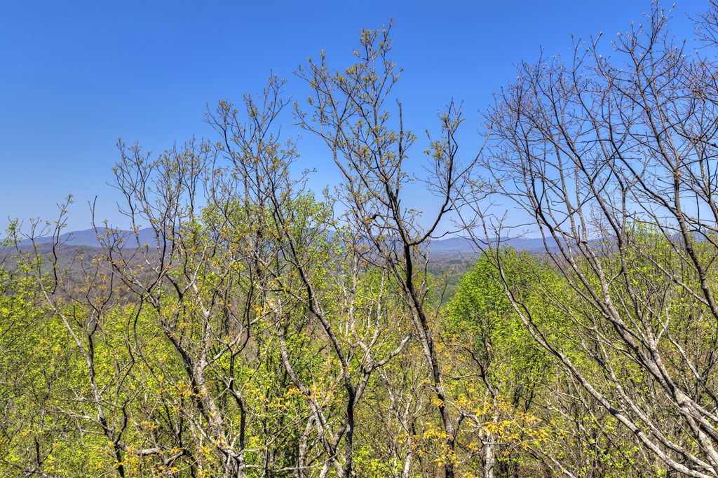 1073 Old Burnt Mountain Road