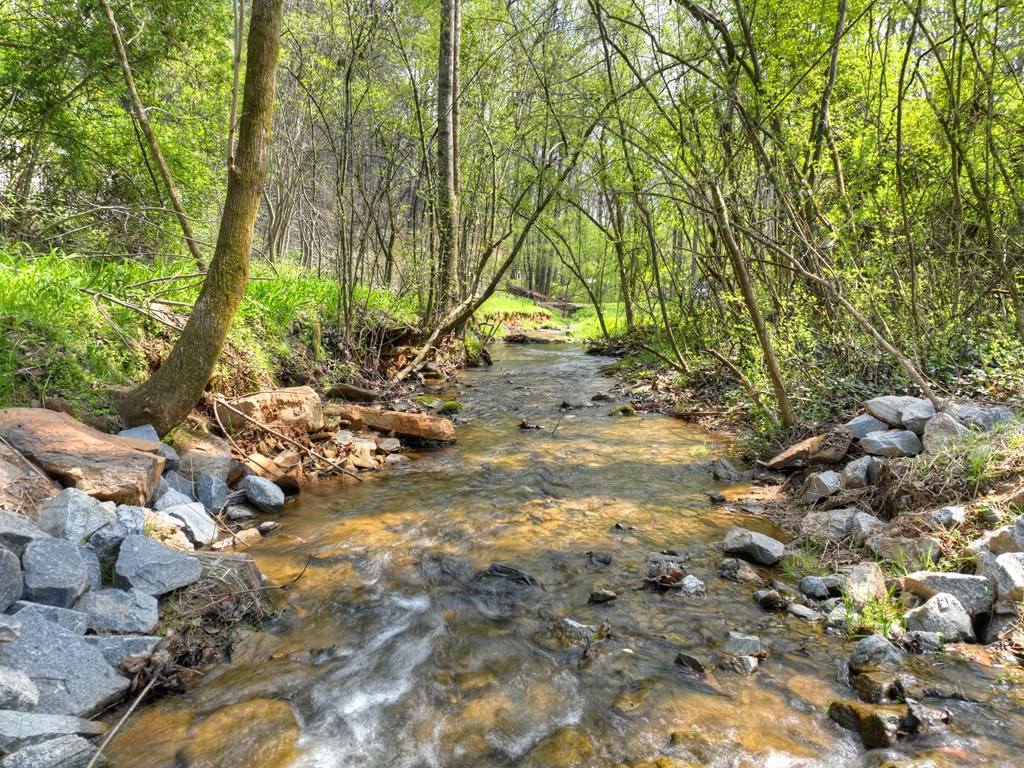 1072 Tails Creek Road