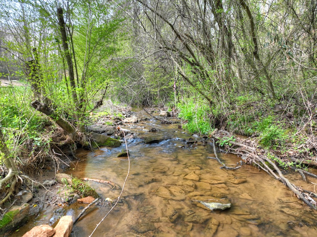 1072 Tails Creek Road