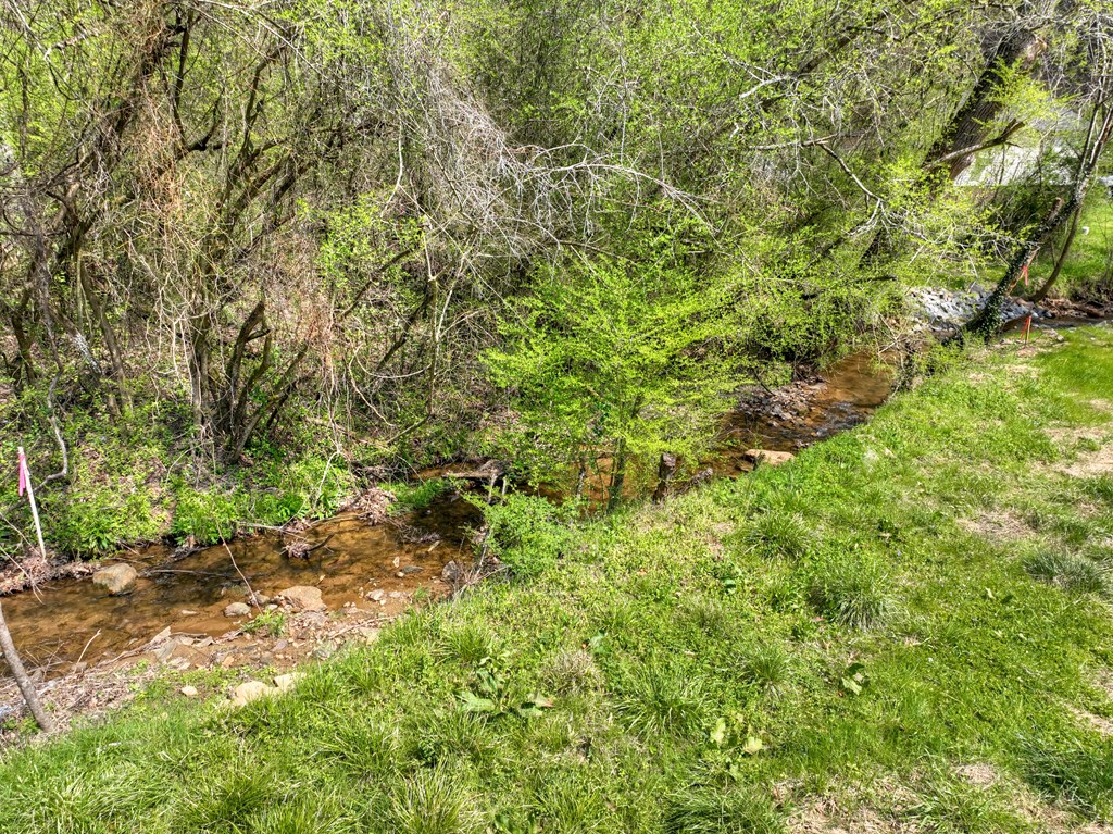 1072 Tails Creek Road