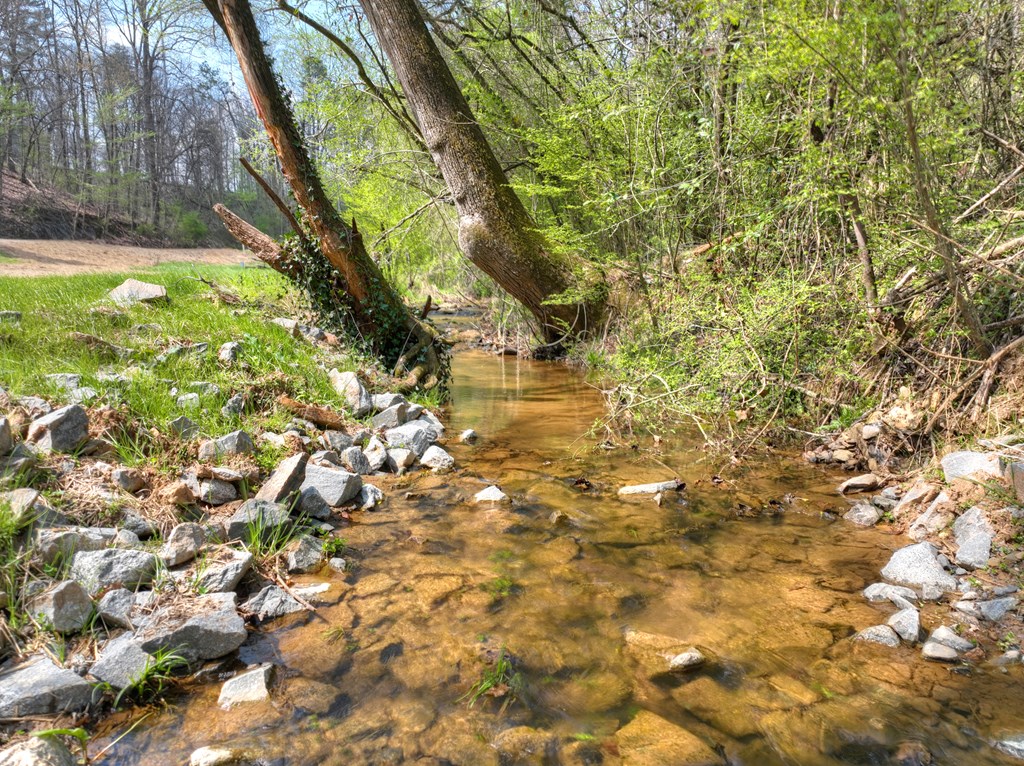 1072 Tails Creek Road