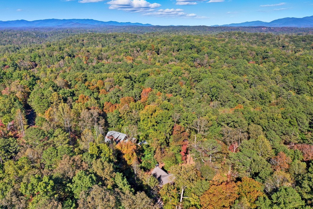 441 Carlisle Drive