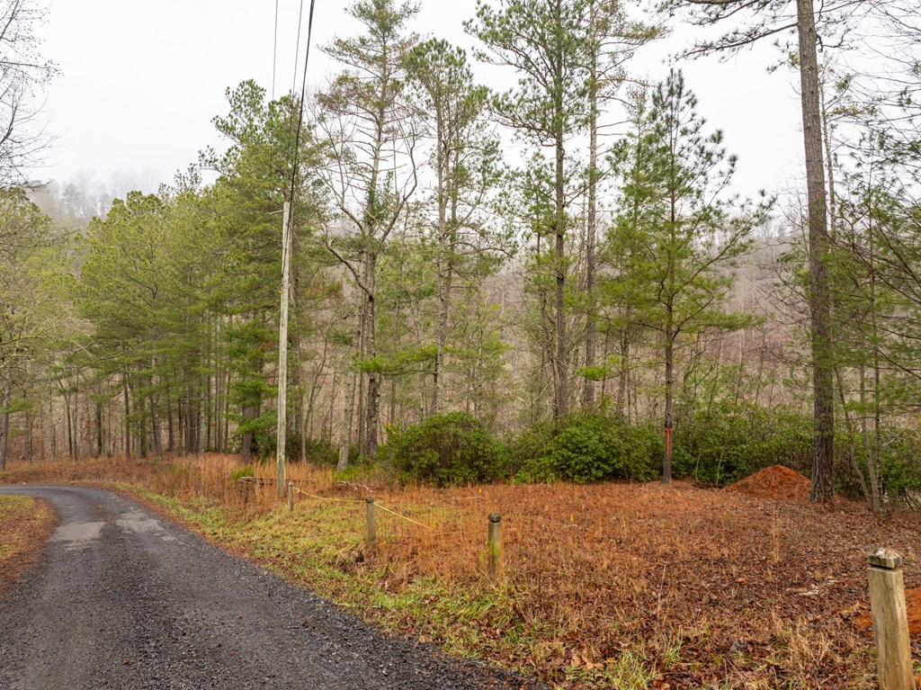 Lot 1742 Meadow Lane