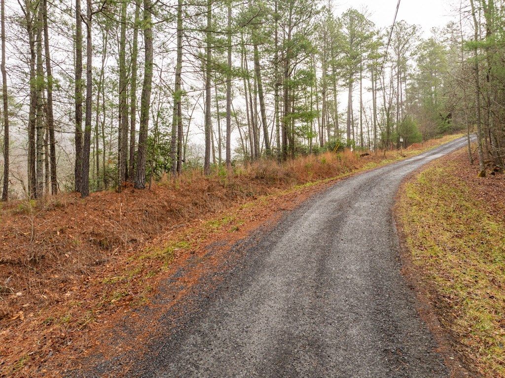Lot 1742 Meadow Lane