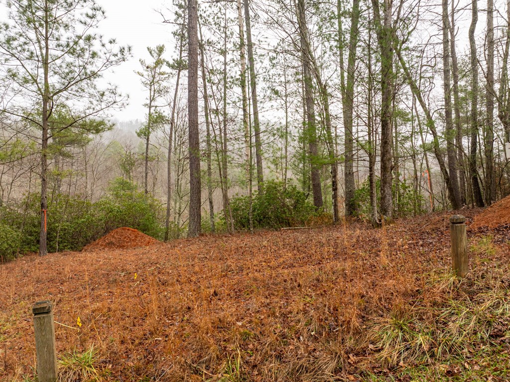 Lot 1742 Meadow Lane