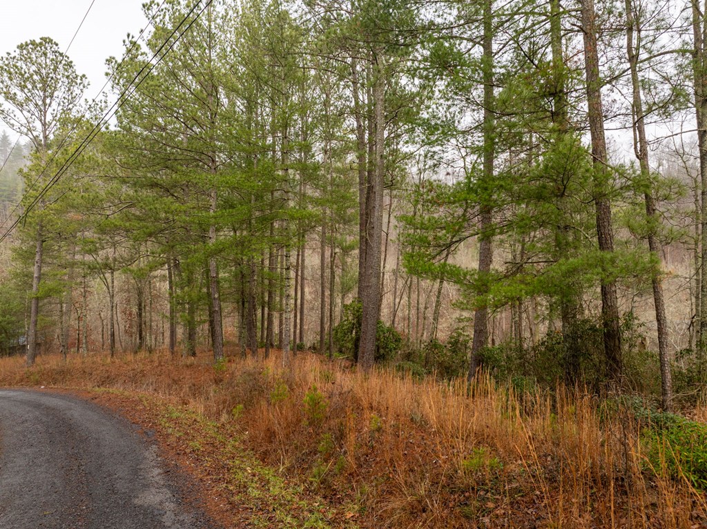 Lot 1742 Meadow Lane