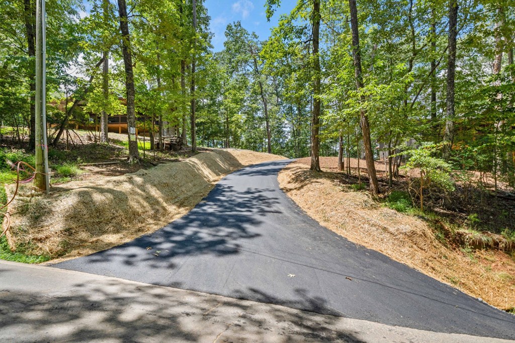 274 Medina Court