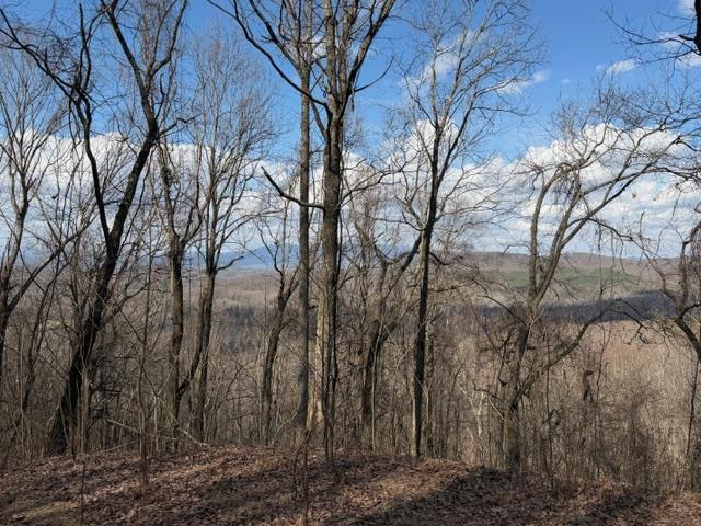 Lot 190 Hawks Nest Court