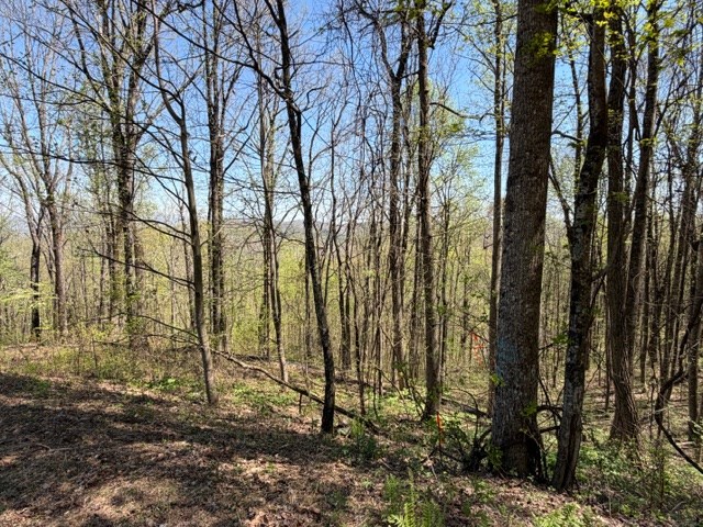 Lot 190 Hawks Nest Court