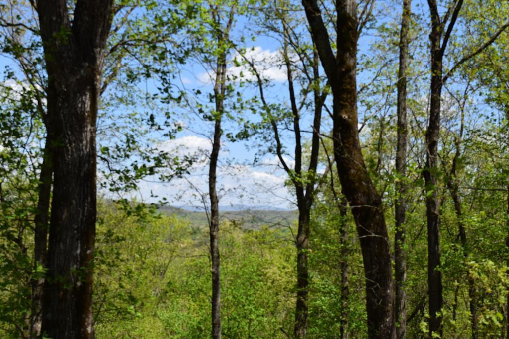 Lot 190 Hawks Nest Court