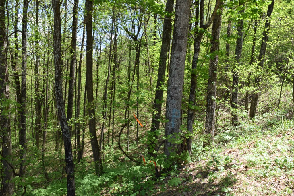 Lot 190 Hawks Nest Court