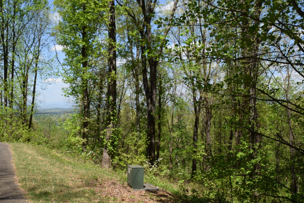 Lot 190 Hawks Nest Court