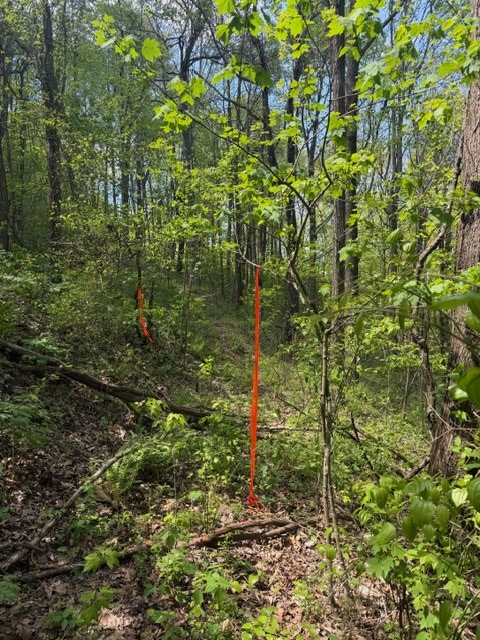 Lot 190 Hawks Nest Court