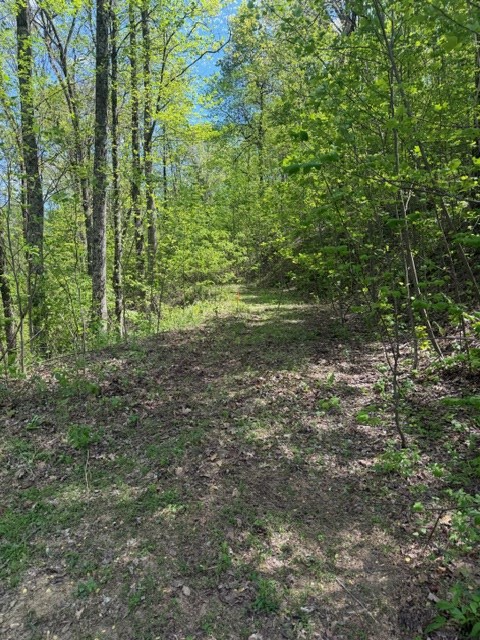 Lot 190 Hawks Nest Court