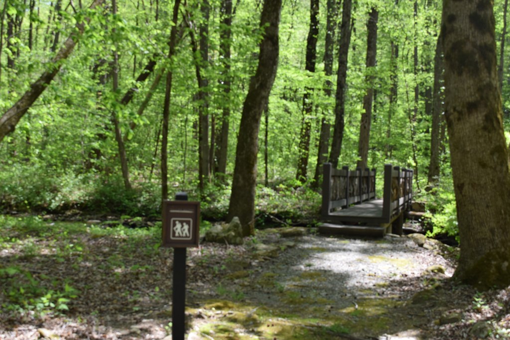Lot 189 Hawks Nest Court