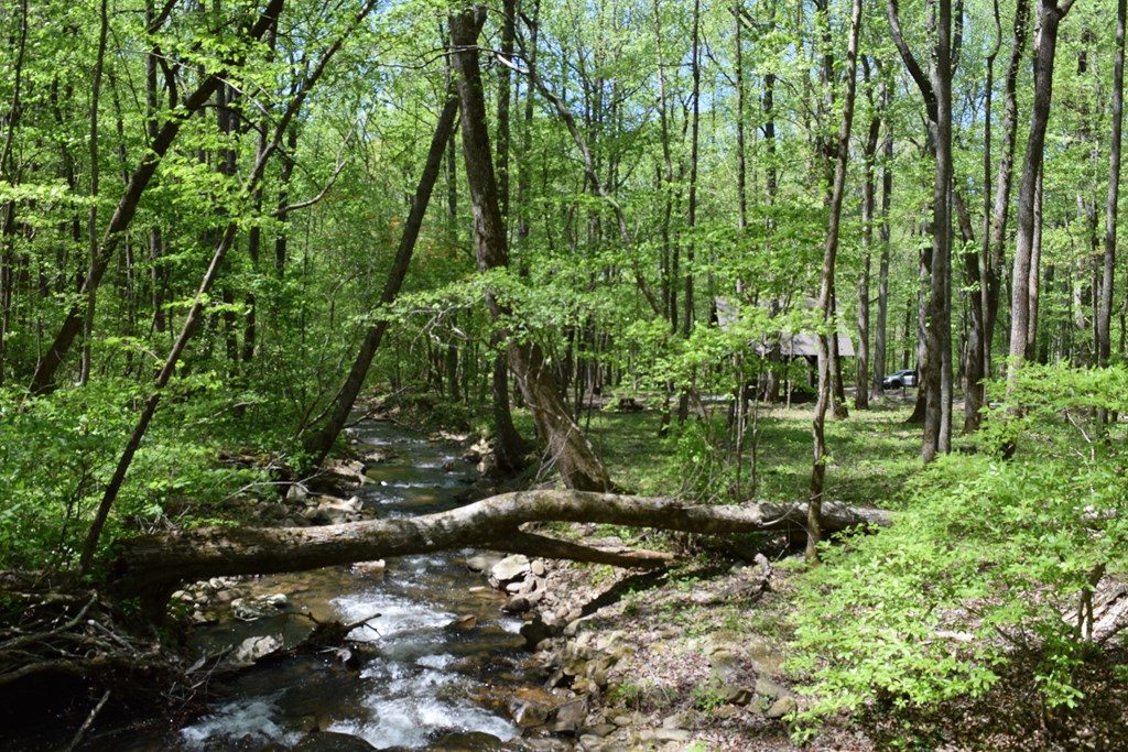 Lot 189 Hawks Nest Court