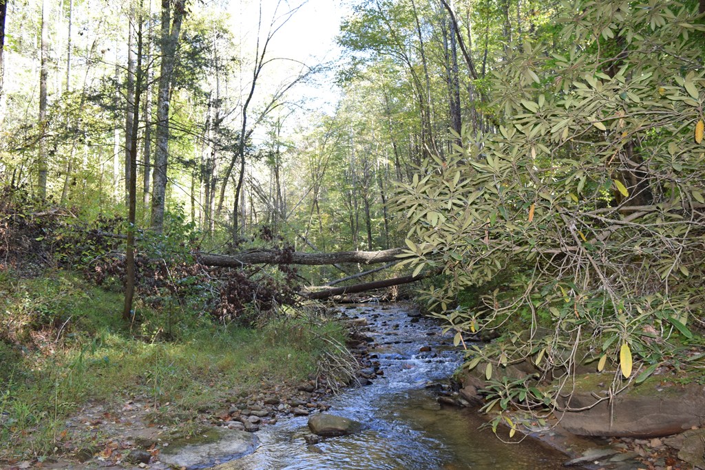 Lot 189 Hawks Nest Court