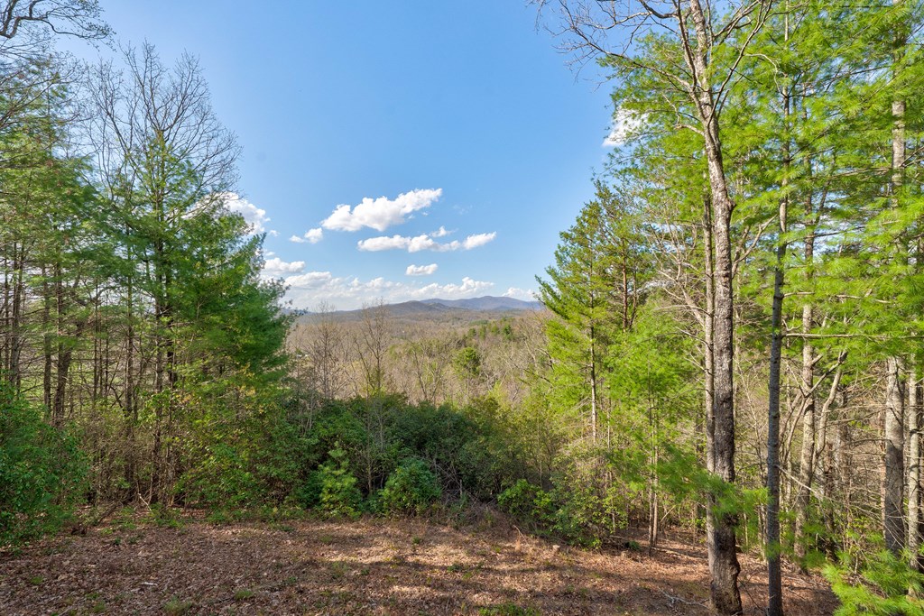 425 Rhonda Lane