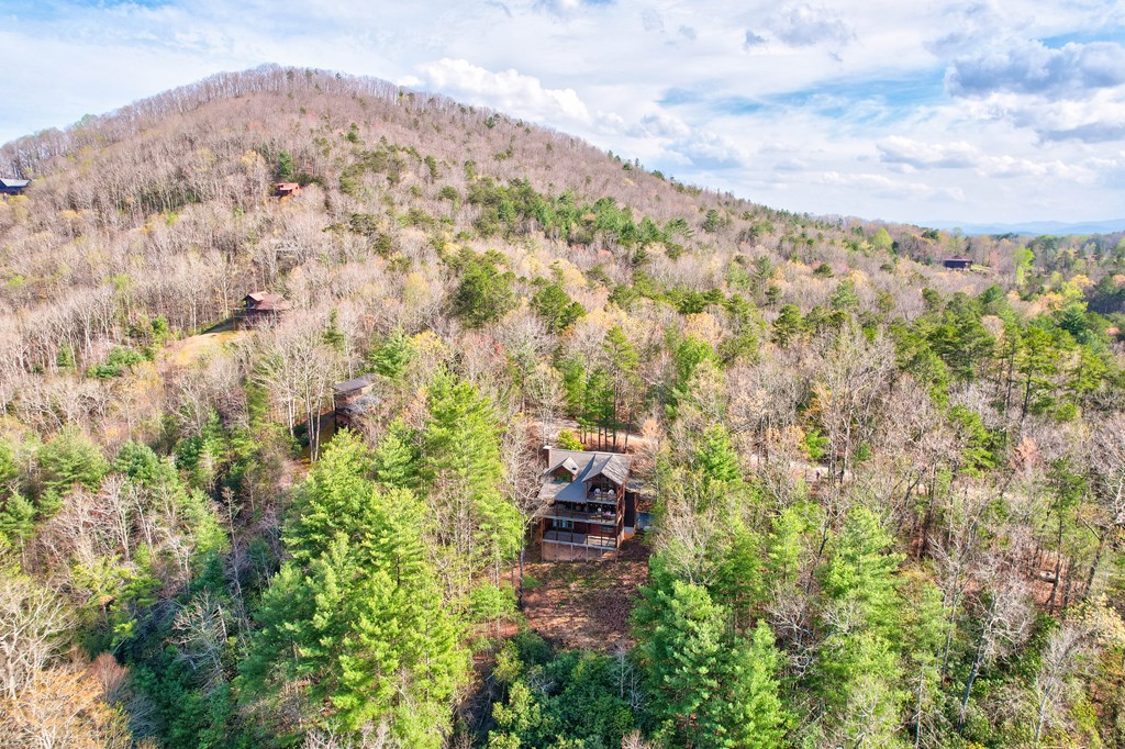 425 Rhonda Lane