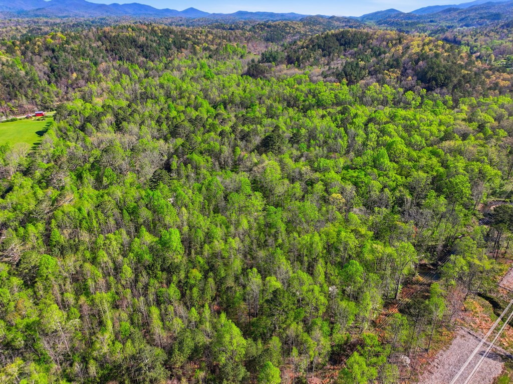 123AC Northcutt Rd/Hwy 515