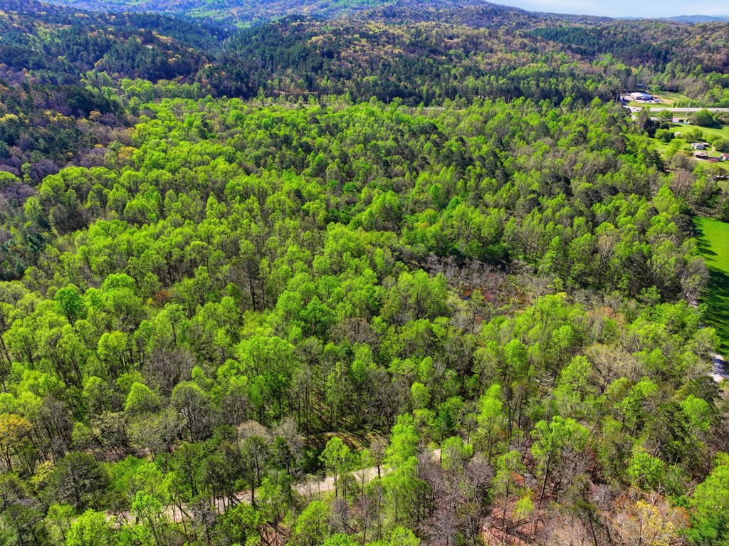 123AC Northcutt Rd/Hwy 515