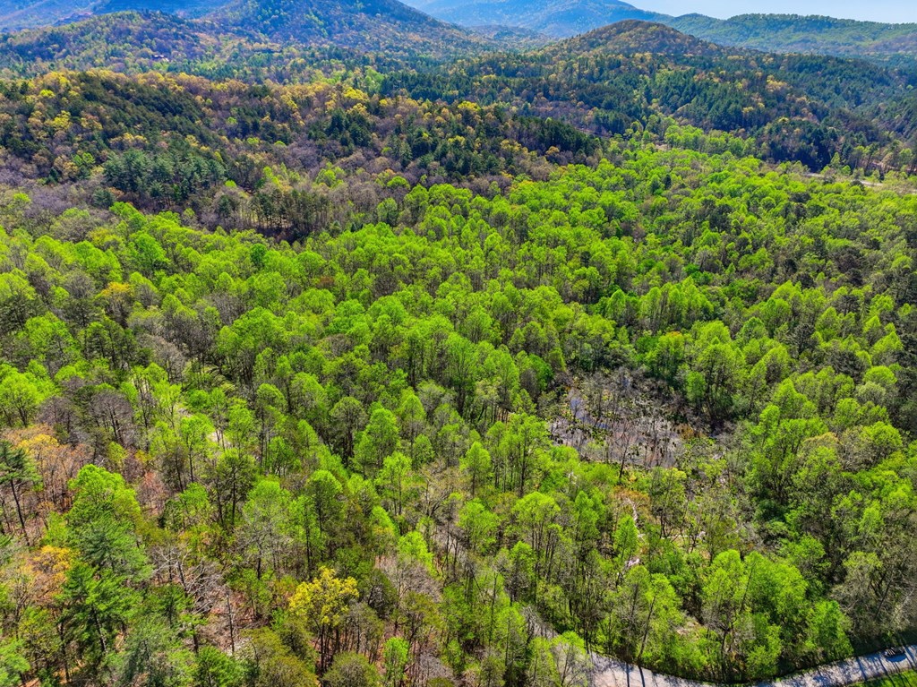 123AC Northcutt Rd/Hwy 515
