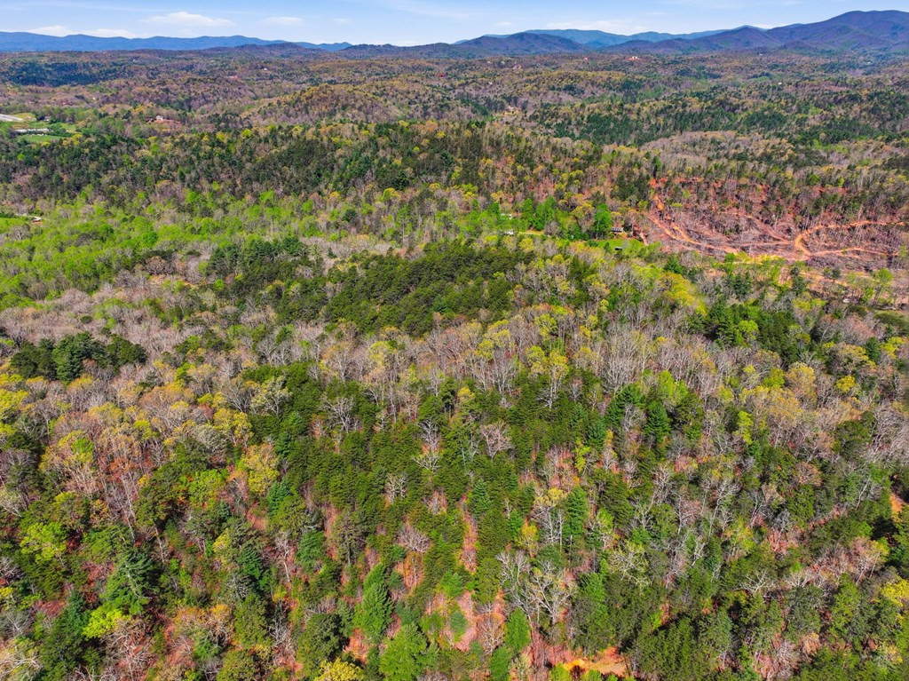 123AC Northcutt Rd/Hwy 515