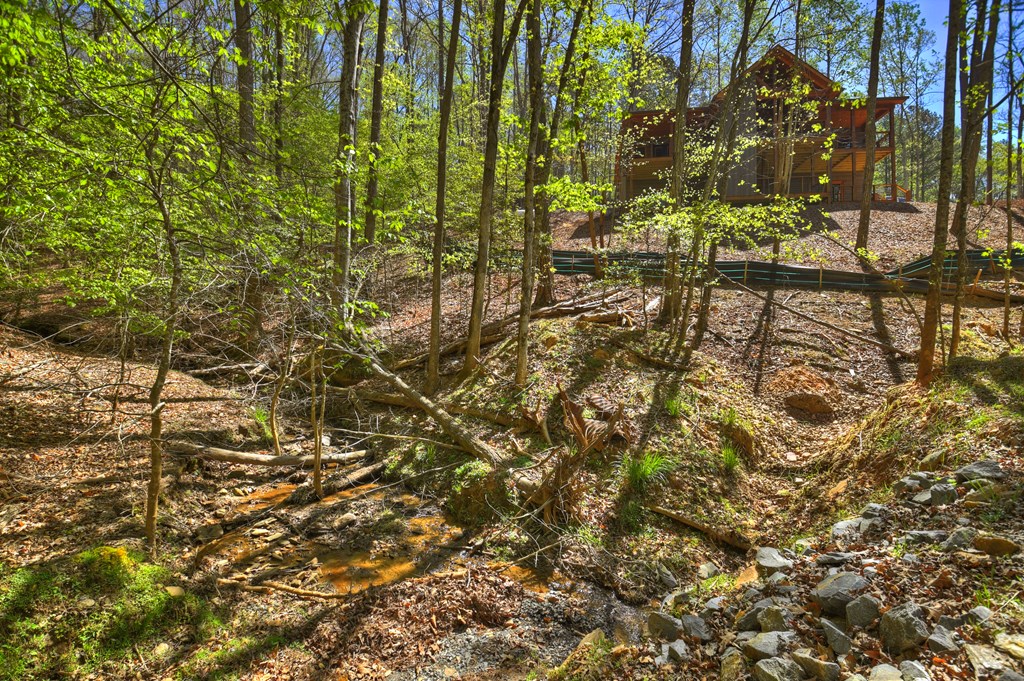 245 Moonstone Drive