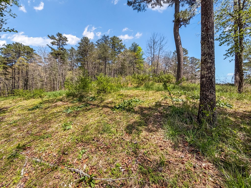 177R Overlook Way