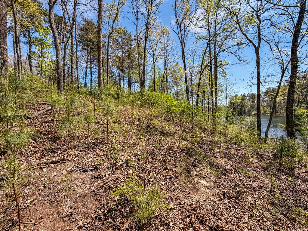 177R Overlook Way